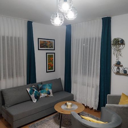 Apartment Petra I Nikola Selište Drežničko Buitenkant foto