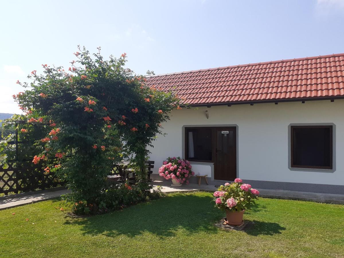 Apartment Petra I Nikola Selište Drežničko Buitenkant foto