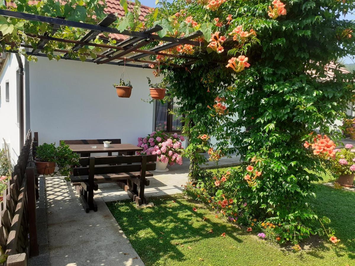 Apartment Petra I Nikola Selište Drežničko Buitenkant foto