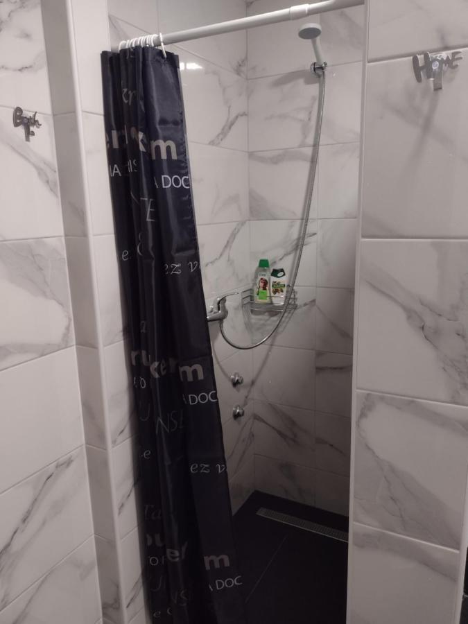 Apartment Petra I Nikola Selište Drežničko Buitenkant foto