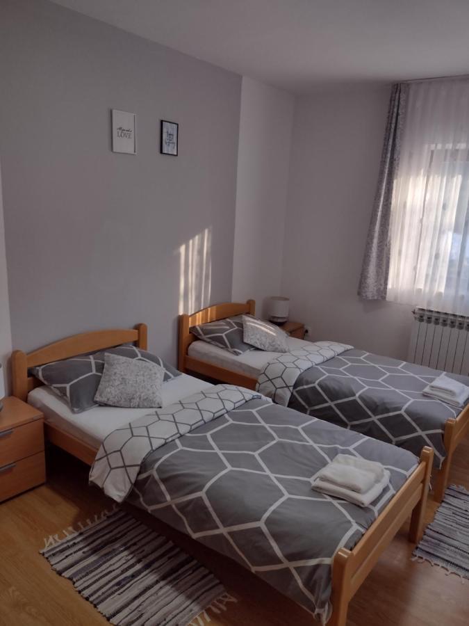 Apartment Petra I Nikola Selište Drežničko Buitenkant foto