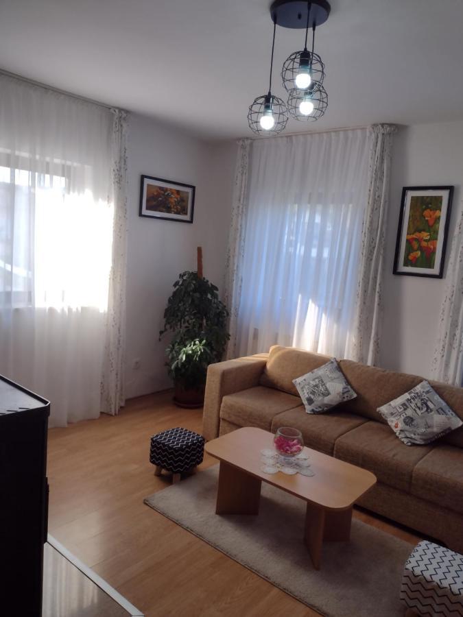 Apartment Petra I Nikola Selište Drežničko Buitenkant foto