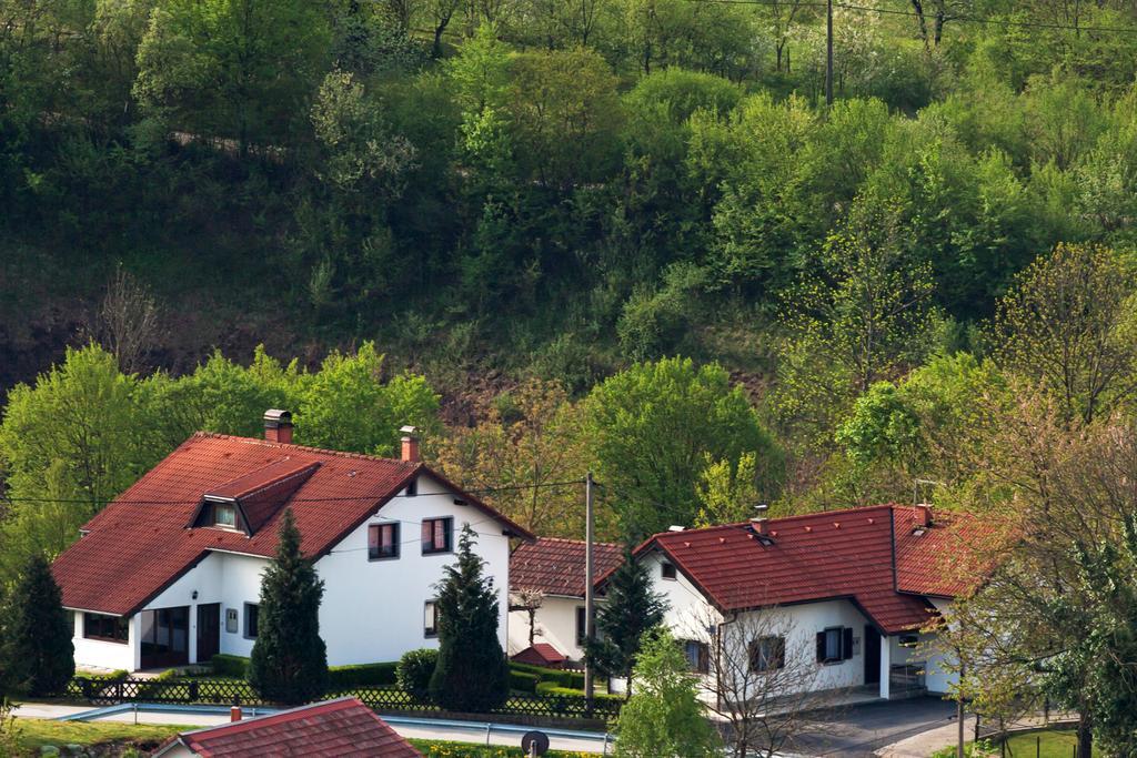 Apartment Petra I Nikola Selište Drežničko Buitenkant foto