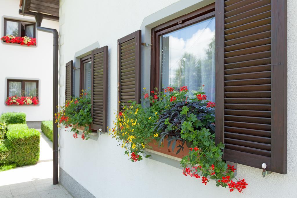Apartment Petra I Nikola Selište Drežničko Buitenkant foto