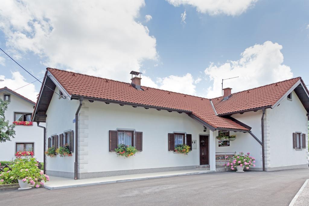 Apartment Petra I Nikola Selište Drežničko Buitenkant foto