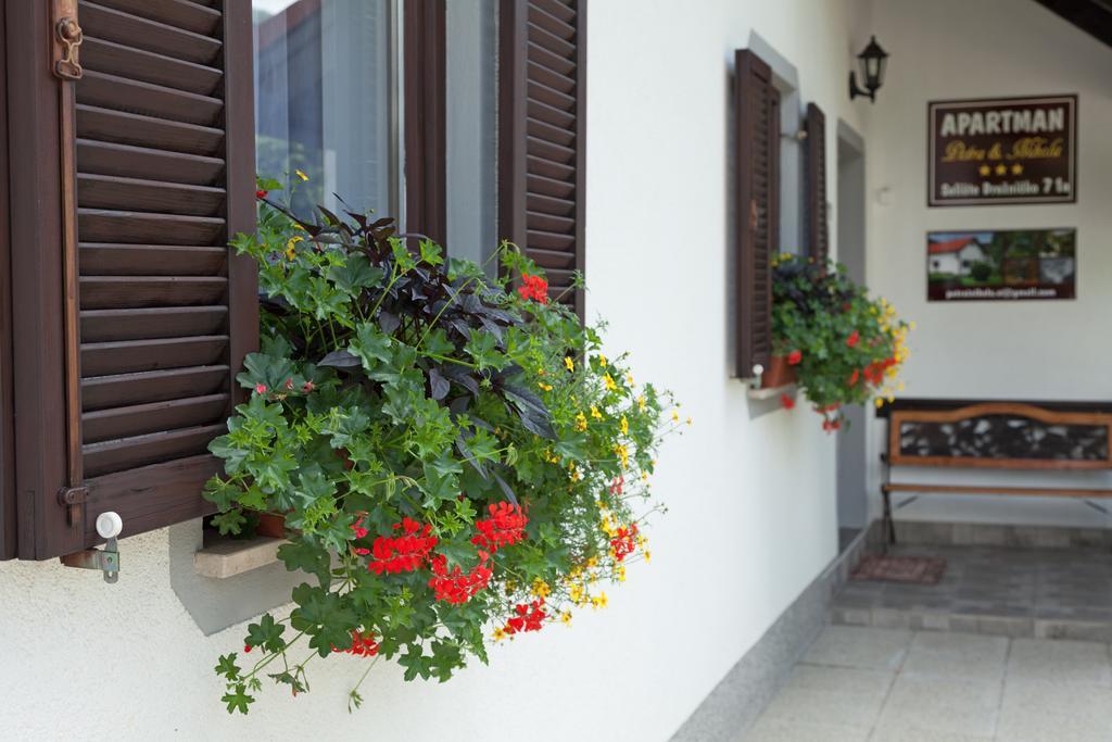 Apartment Petra I Nikola Selište Drežničko Buitenkant foto