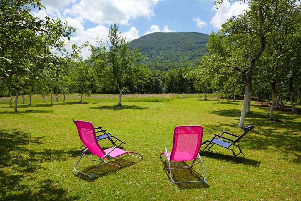 Apartment Petra I Nikola Selište Drežničko Buitenkant foto