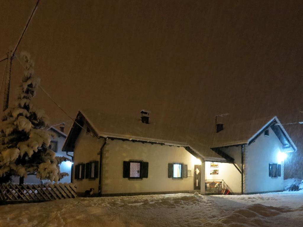 Apartment Petra I Nikola Selište Drežničko Buitenkant foto
